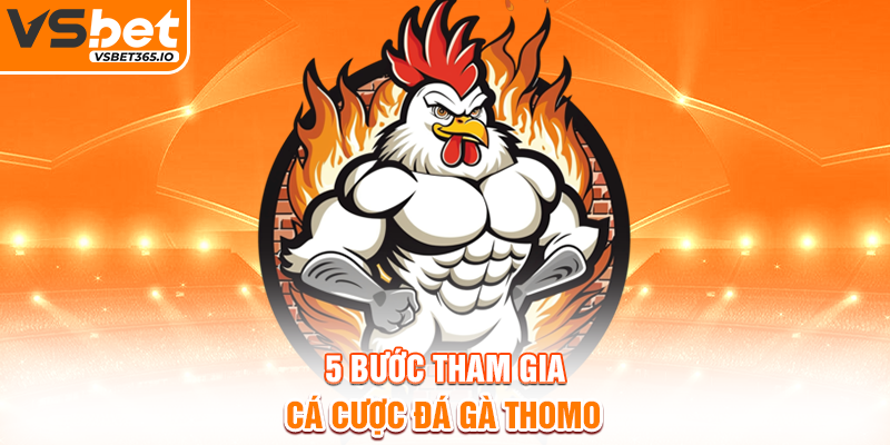 5 bước tham gia cá cược đá gà Thomo