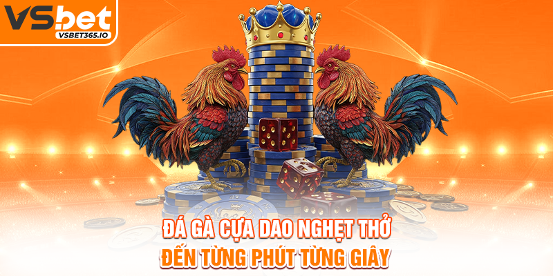 Đá gà cựa dao nghẹt thở đến từng phút từng giây