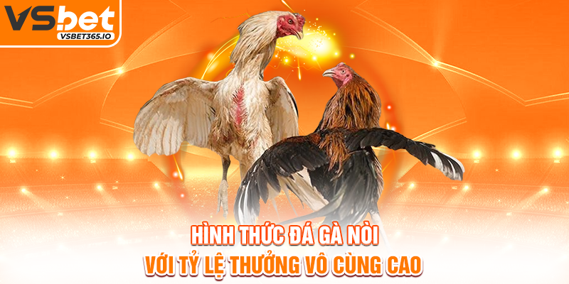 Hình thức đá gà nòi với tỷ lệ thưởng vô cùng cao