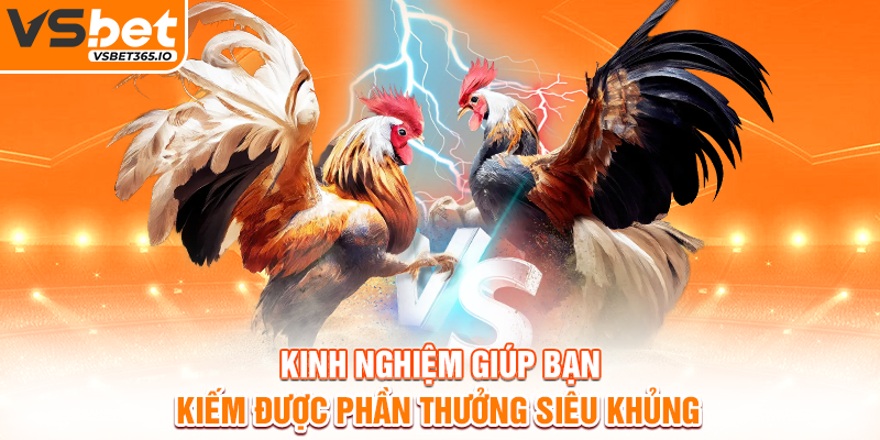 Kinh nghiệm giúp bạn kiếm được phần thưởng siêu khủng