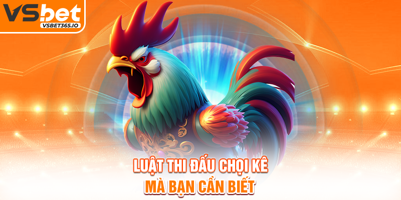 Luật thi đấu chọi kê mà bạn cần biết