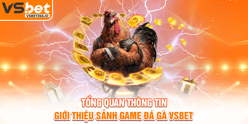 Tổng quan thông tin giới thiệu sảnh game đá gà VSBET