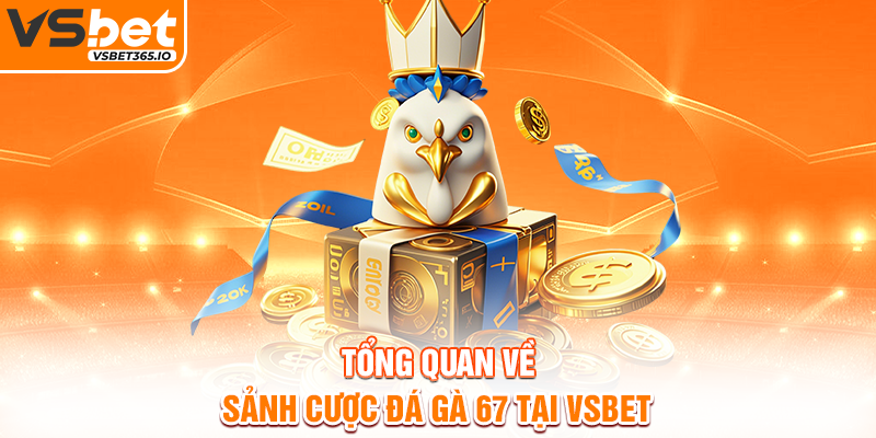Tổng quan về sảnh cược Đá Gà 67 tại VSBET